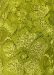 Chartreuse Lace