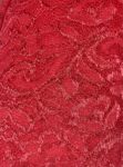 Coral Lace